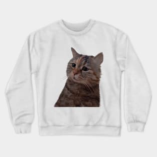 Adorable kitty meme Crewneck Sweatshirt